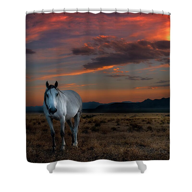 Sunset Shower Curtain featuring the photograph Ghost Horse at Sunset by Michael Ash