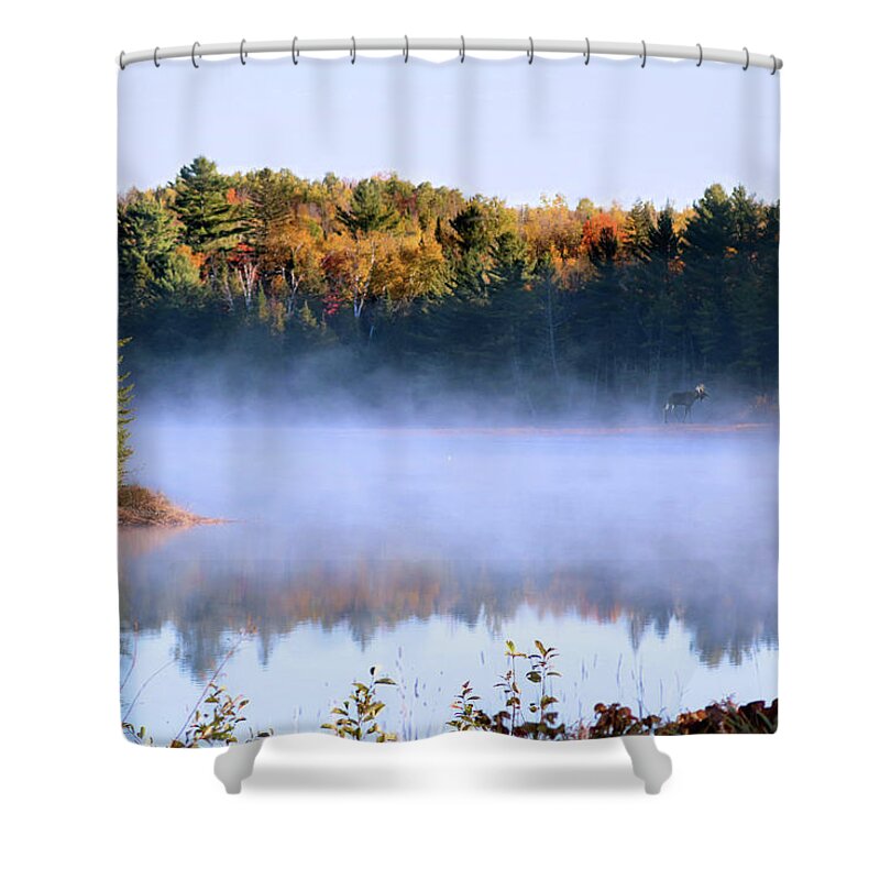 Fall Shower Curtain featuring the photograph Ghost Walker by Sandra Huston