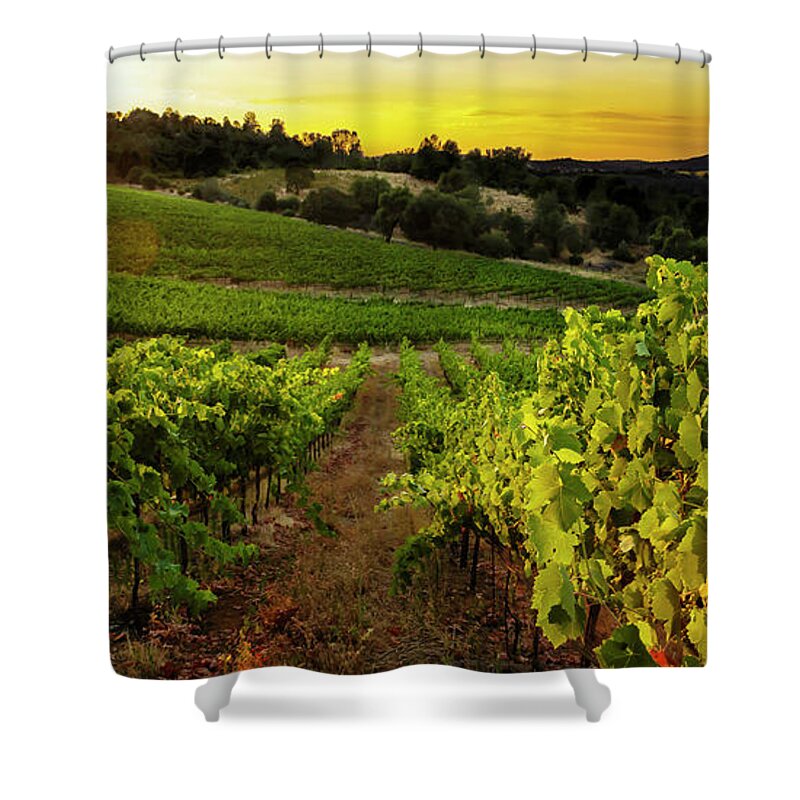 Vineyard Shower Curtain featuring the photograph Gianelli Vineyard 2 by Gary Johnson