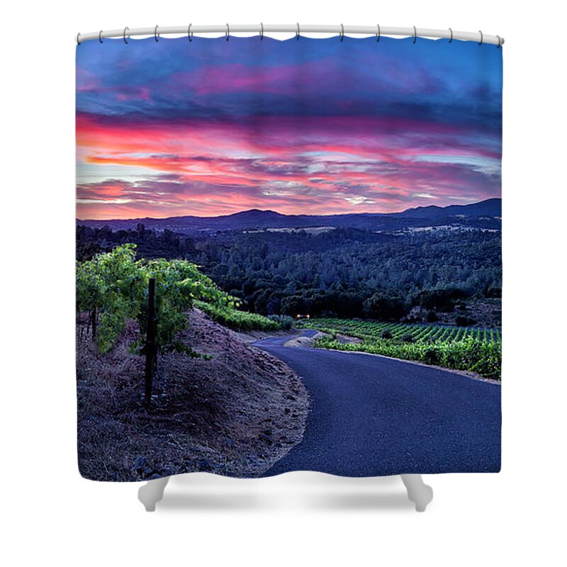 Vineyards Shower Curtain featuring the photograph Gianelli Vineyard by Gary Johnson