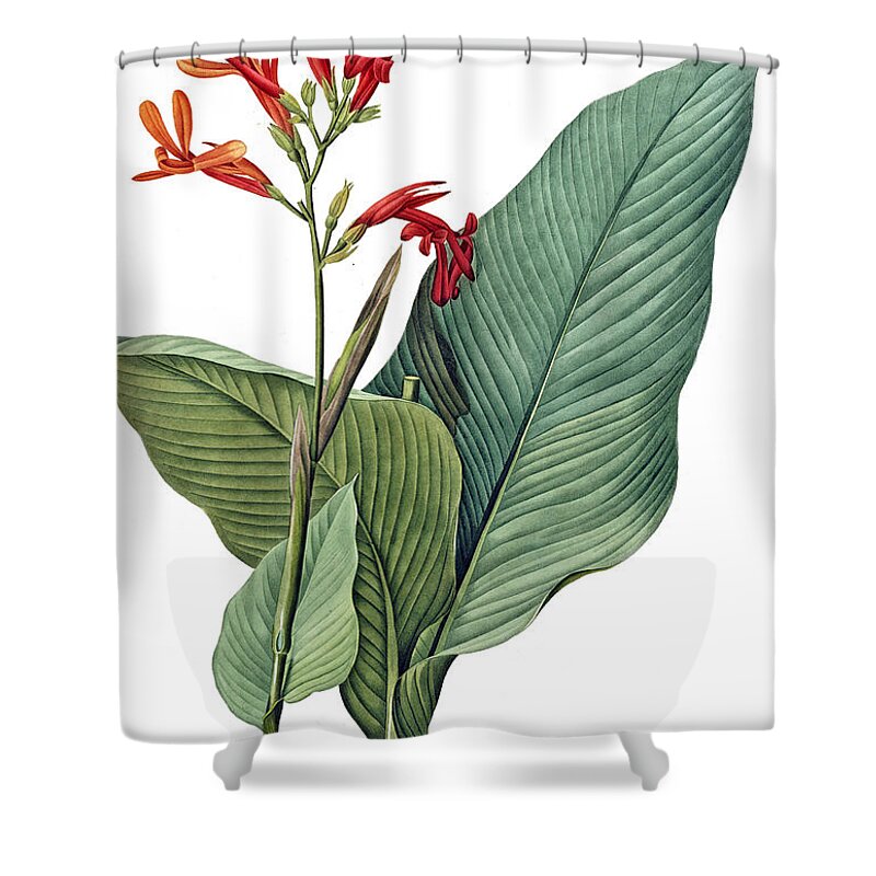 Giant Shower Curtain featuring the digital art Giant Flower with Green Leafs by Long Shot