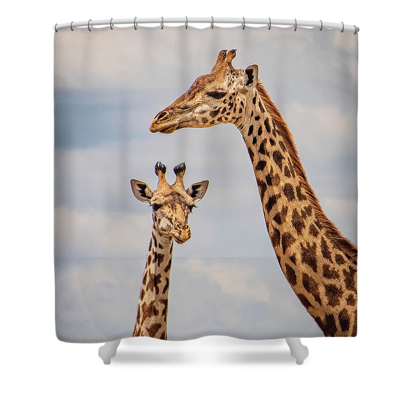 Giraffes Shower Curtain featuring the photograph Giraffes Mom and Calf by Janis Knight