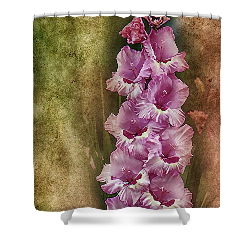 Gladiolus Shower Curtain featuring the photograph Gladiolus with Texture Overlay by Bill Barber