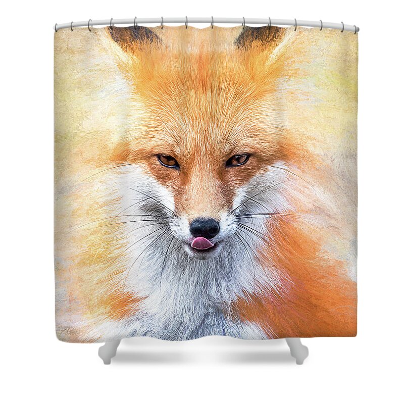 Red Fox Shower Curtain featuring the photograph Glare by James Overesch