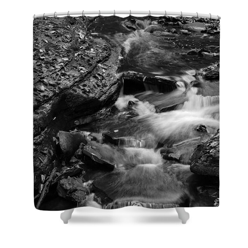 Watkins Glen State Park Sp Shower Curtain featuring the photograph Glen Creek in Black and White by fototaker Tony