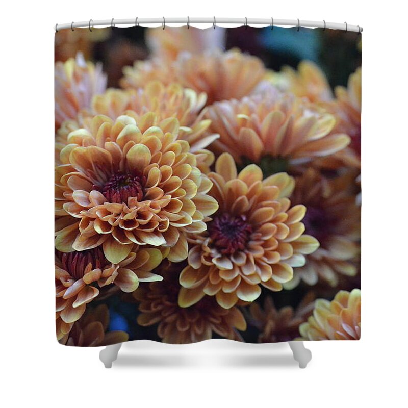 Flower Shower Curtain featuring the photograph Glowing Buds by Amy Fose