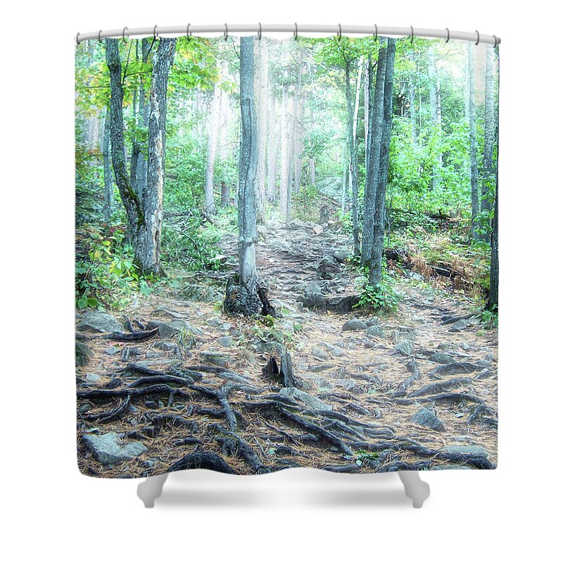 Sugarloaf Mountain Shower Curtain featuring the photograph Glowing Forest Trail by Phil Perkins