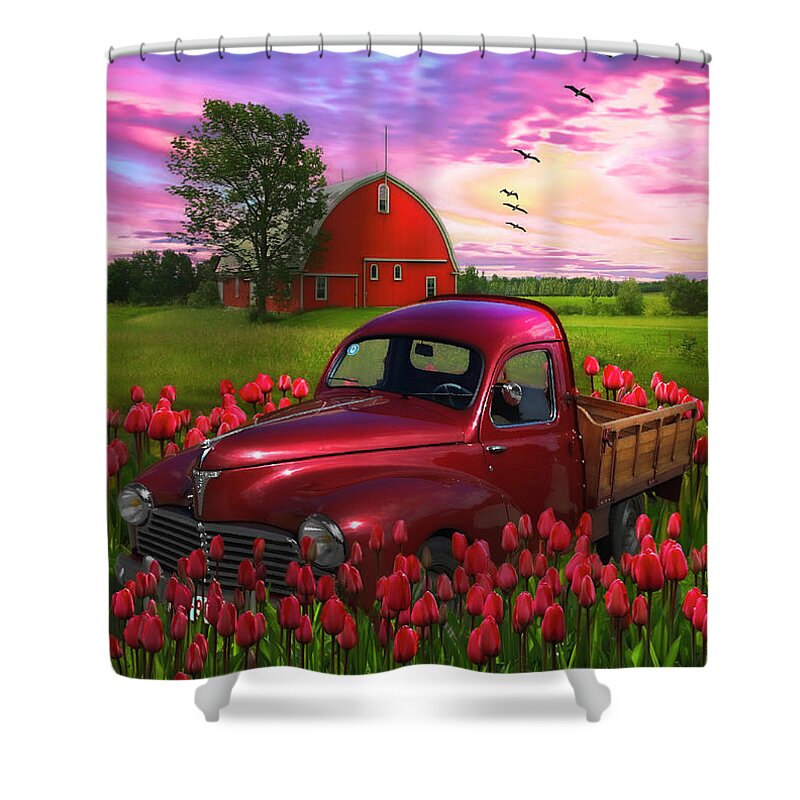 Trucks Shower Curtain featuring the photograph Glowing Red Tulips Red Truck Red Barn by Debra and Dave Vanderlaan