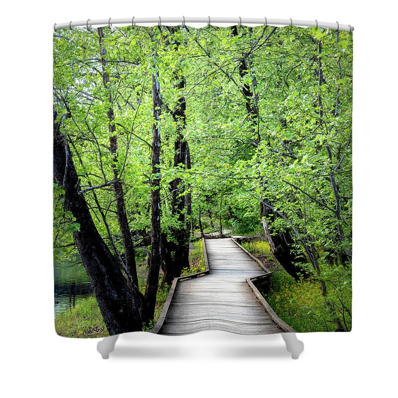 Dock Shower Curtain featuring the photograph Glowing Spring Walk by Debra and Dave Vanderlaan