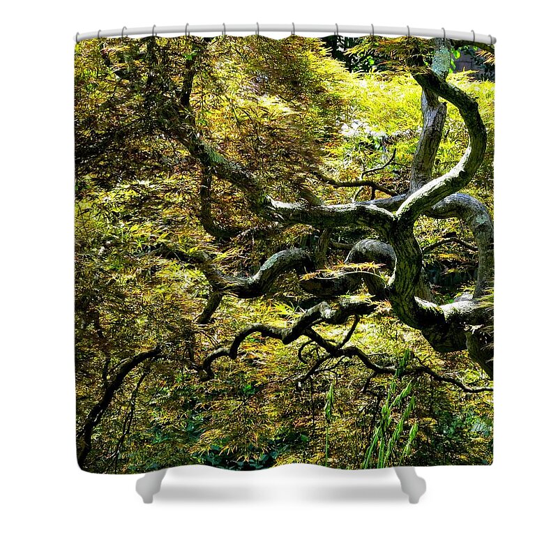 Trees Shower Curtain featuring the photograph Gnarly Tree Closeup by Linda Stern
