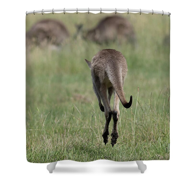Landscape Shower Curtain featuring the photograph Go and Jump by Masami IIDA