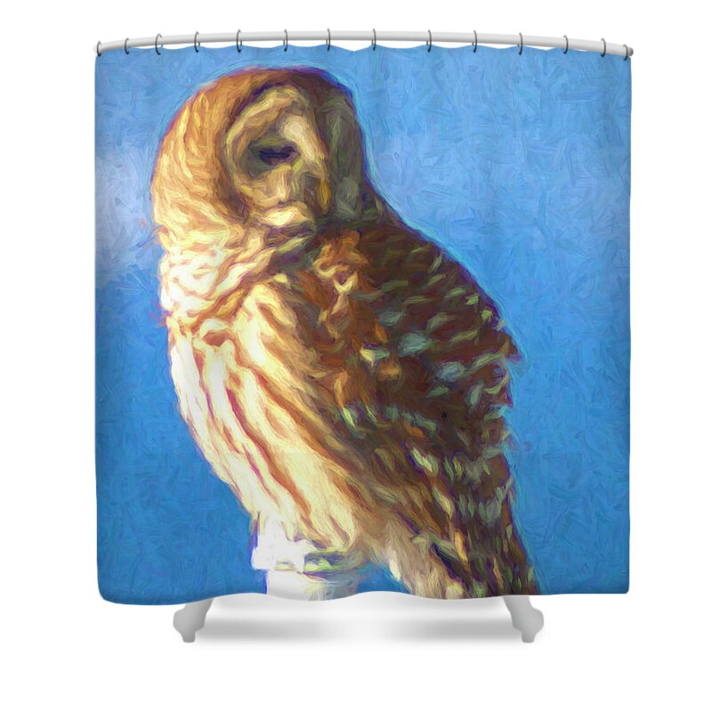 Barred Owl Shower Curtain featuring the photograph Goddess on a Mountaintop by Xine Segalas