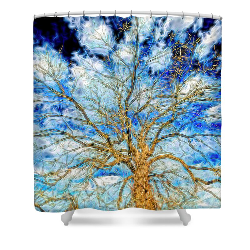 Illinois Shower Curtain featuring the photograph Going Crazy Abstract by Todd Reese