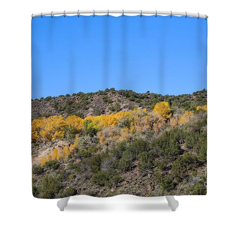 Jon Burch Shower Curtain featuring the photograph Gold and Blue by Jon Burch Photography