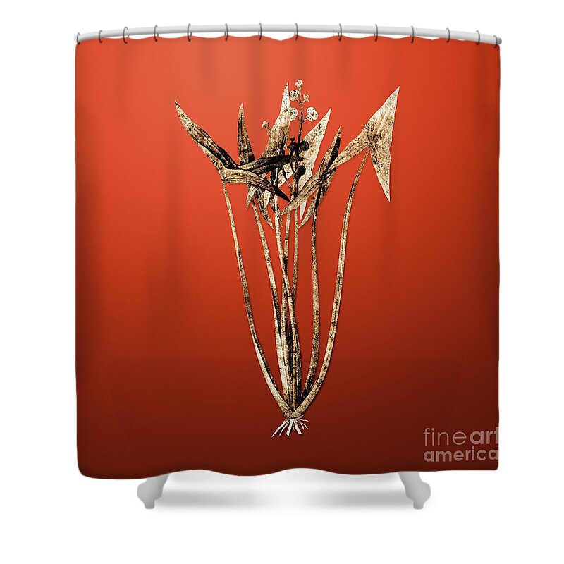 Gold Shower Curtain featuring the painting Gold Arrowhead on Tomato Red n.02486 by Holy Rock Design