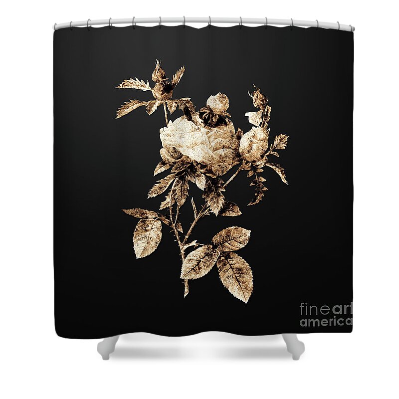 Gold Shower Curtain featuring the painting Gold Cabbage Rose on Wrought Iron Black n.03063 by Holy Rock Design