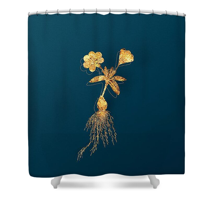 Vintage Shower Curtain featuring the mixed media Gold Cape Tulip b Botanical Illustration on Teal by Holy Rock Design