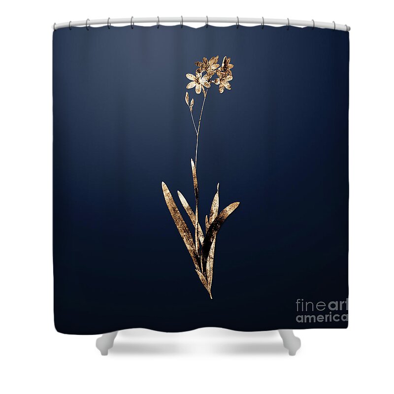Gold Shower Curtain featuring the painting Gold Corn Lily on Midnight Navy n.02443 by Holy Rock Design