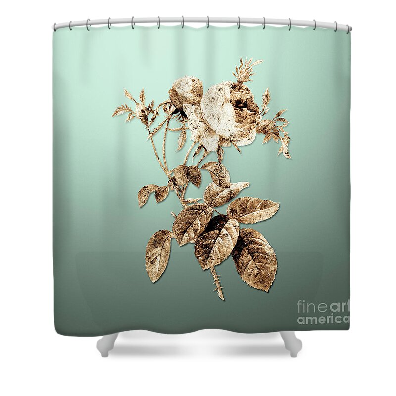 Gold Shower Curtain featuring the painting Gold Pink Cabbage Rose de Mai on Mint Green n.04220 by Holy Rock Design