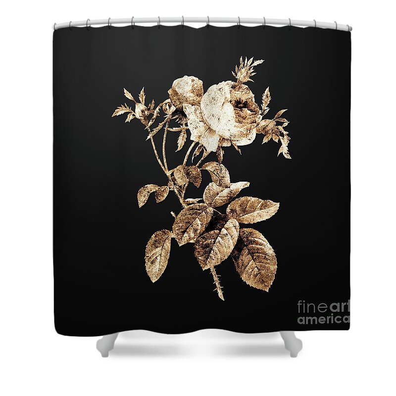 Gold Shower Curtain featuring the painting Gold Pink Cabbage Rose de Mai on Wrought Iron Black n.01383 by Holy Rock Design