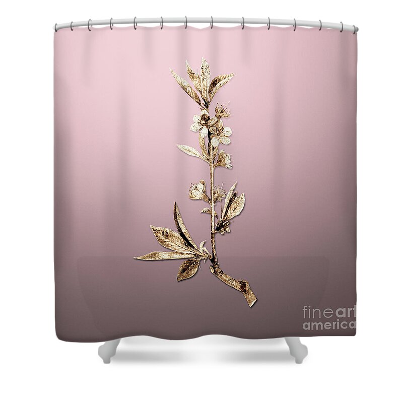 Gold Shower Curtain featuring the painting Gold Pink Flower Branch on Rose Quartz n.02768 by Holy Rock Design
