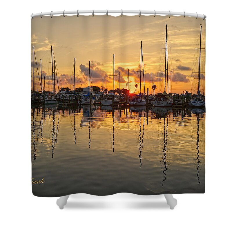 Sunrise Shower Curtain featuring the photograph Golden Dawn by Ty Husak