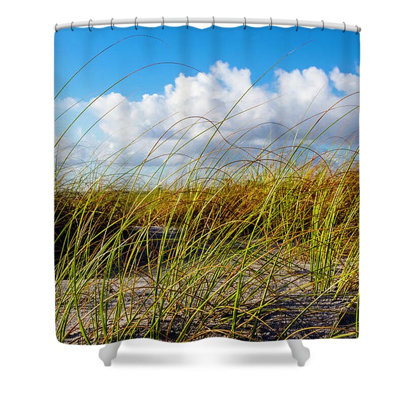Clouds Shower Curtain featuring the photograph Golden Dune Grasses II by Debra and Dave Vanderlaan