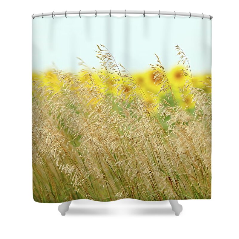 Sunflower Shower Curtain featuring the photograph Golden Horizon by Lens Art Photography By Larry Trager