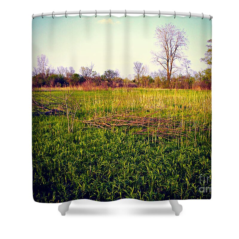 Nature Shower Curtain featuring the photograph Golden Hour Sunset On The Prairie - Lomo by Frank J Casella