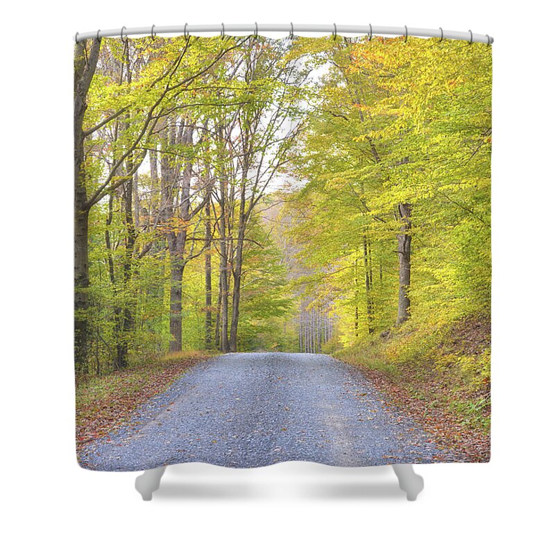 Activities Shower Curtain featuring the photograph Golden Lane by Jamart Photography