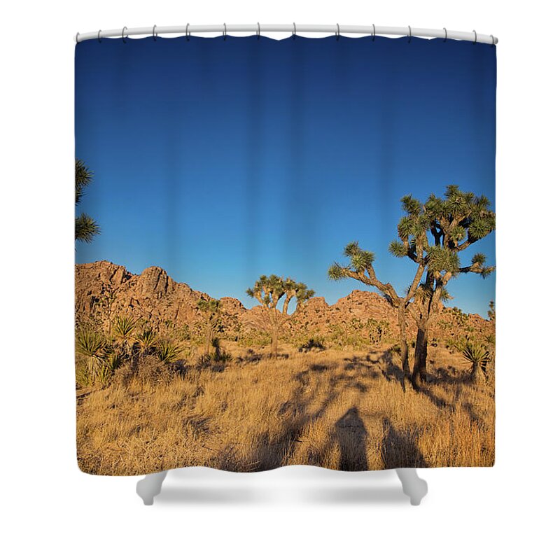 Boy Scout Trail Shower Curtain featuring the photograph Golden minute along boy scout trail by Kunal Mehra