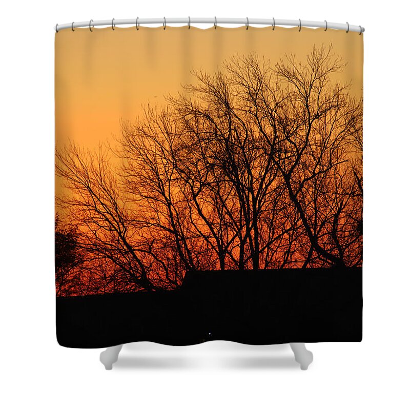 Sunrise Shower Curtain featuring the photograph Golden Morning February 8 2021 by Miriam A Kilmer