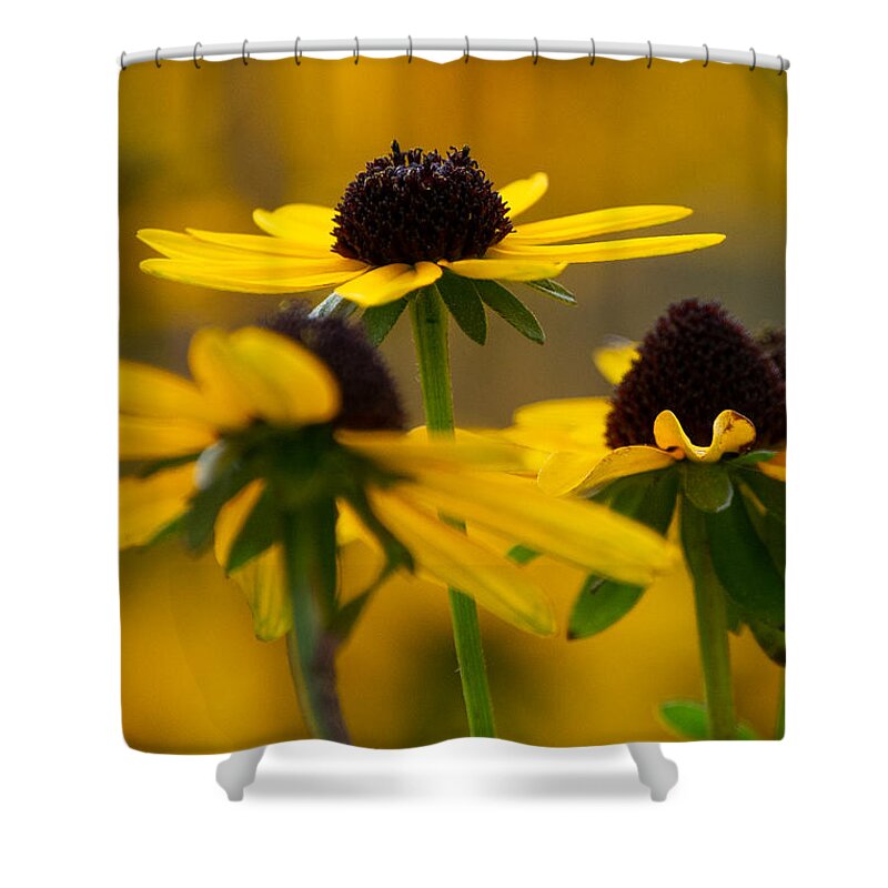 Fall Shower Curtain featuring the photograph Golden Petals by Linda Bonaccorsi
