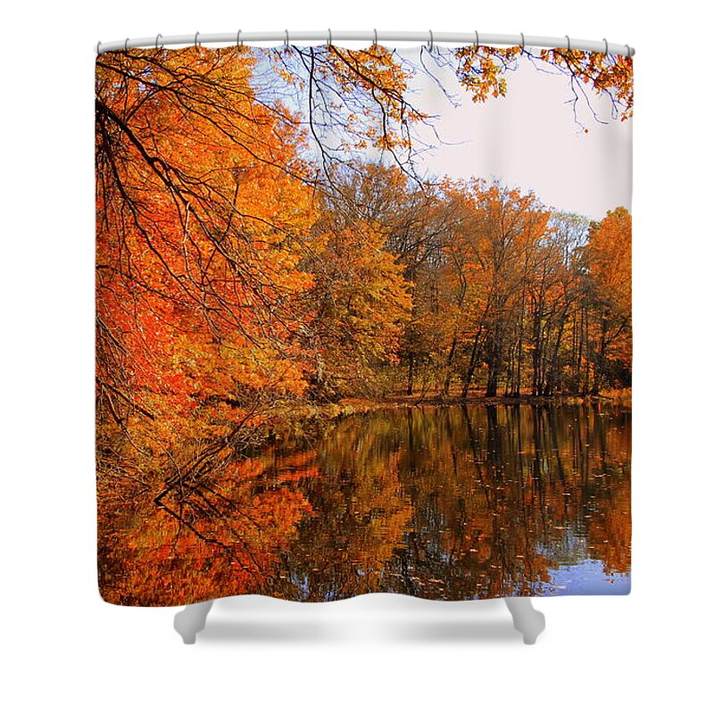 Fall Shower Curtain featuring the photograph Golden Reflection by Lennie Malvone
