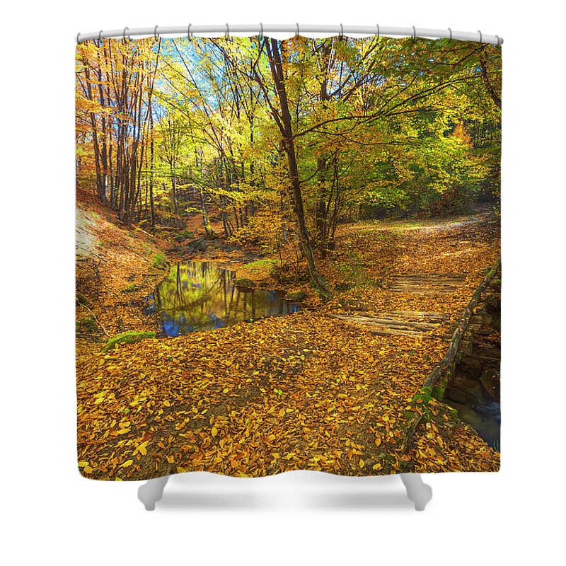 Bulgaria Shower Curtain featuring the photograph Golden River by Evgeni Dinev