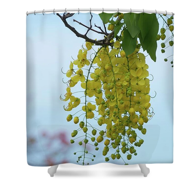 Flower Shower Curtain featuring the photograph Golden Shower by On da Raks