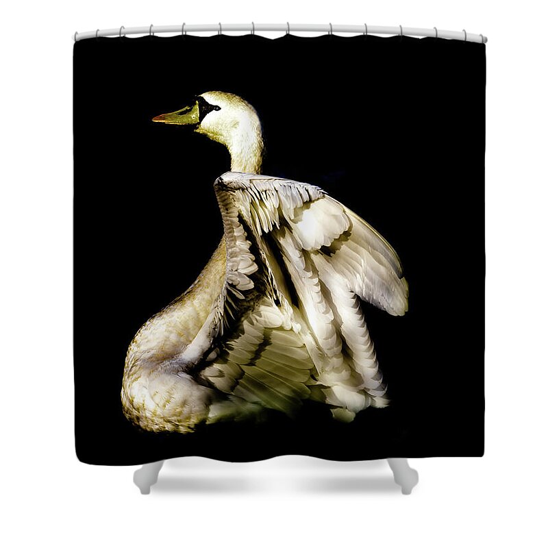 Swan Shower Curtain featuring the photograph Golden Swan by MPhotographer