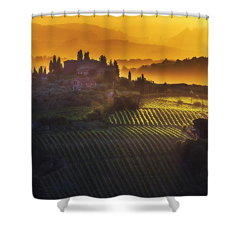 Italy Shower Curtain featuring the photograph Golden Tuscany by Evgeni Dinev