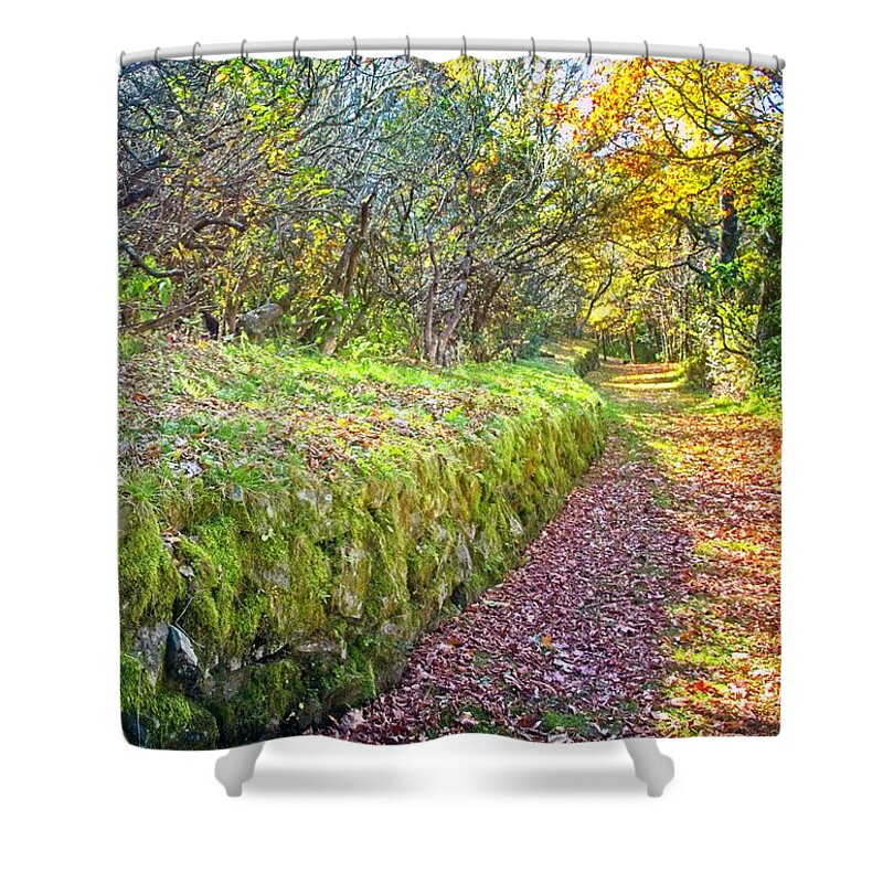 Path Shower Curtain featuring the photograph Good Day For A Walk by Allen Nice-Webb