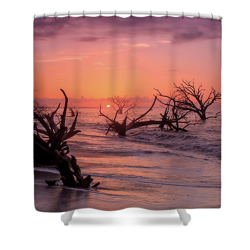 Sunrise Shower Curtain featuring the photograph The Forest and the Sea by Doug McPherson