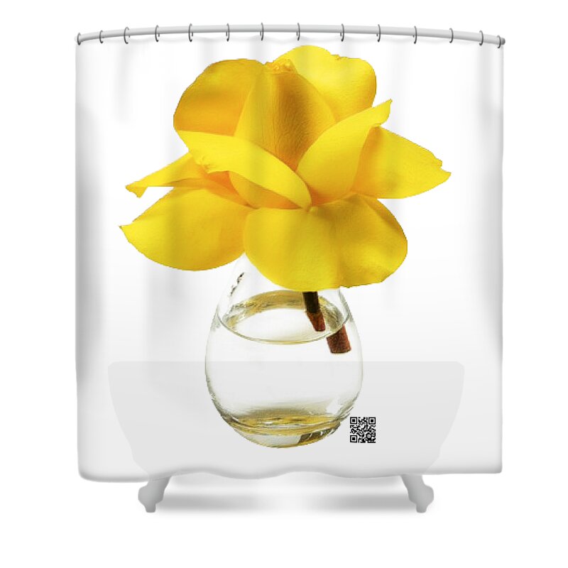 Rose Shower Curtain featuring the mixed media Good Morning by Rafael Salazar