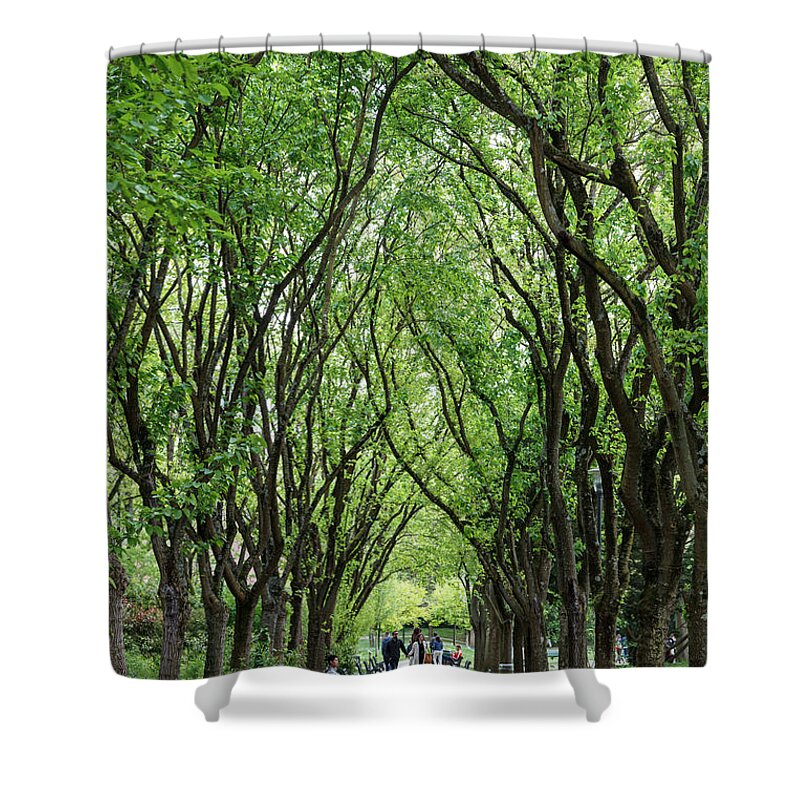 Landscape Shower Curtain featuring the photograph Gothic Greenery by W Chris Fooshee