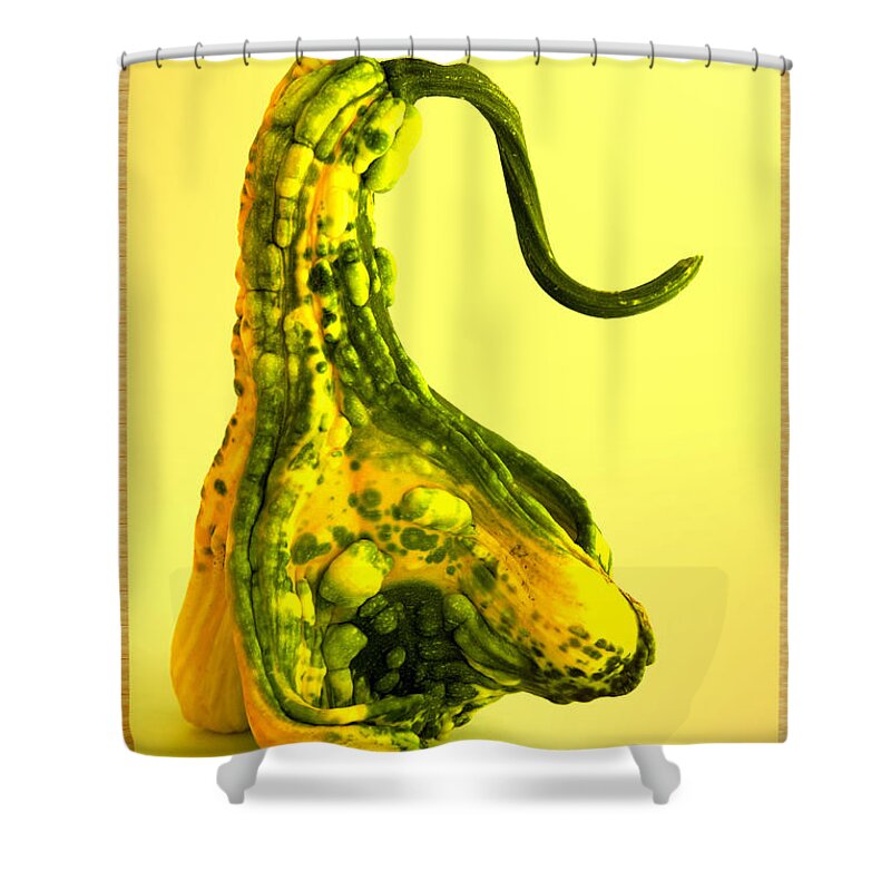 Gourd Shower Curtain featuring the mixed media Gourd Art #1 by Kae Cheatham