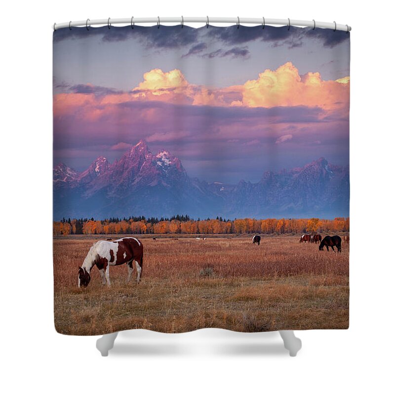 Grand Tetons Shower Curtain featuring the photograph Grand Teton Pasture by Wesley Aston