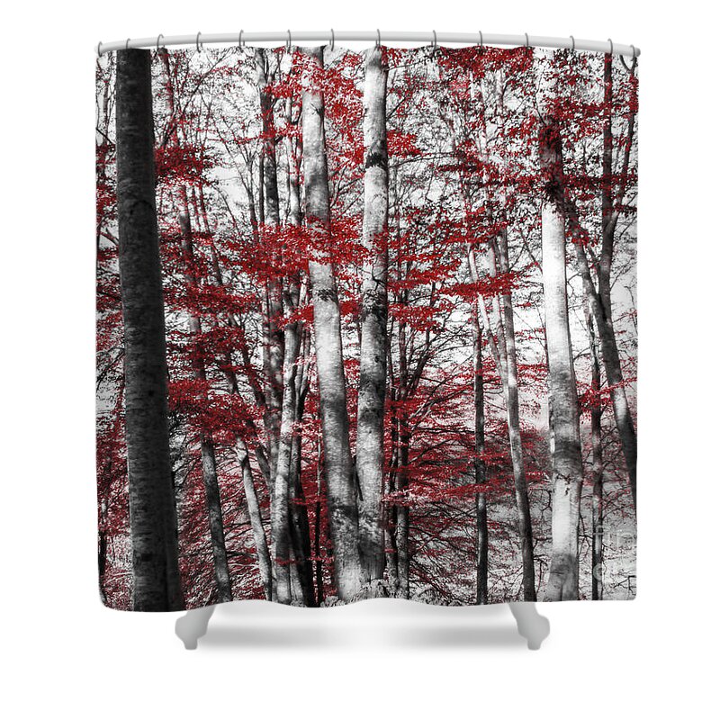 Forest Shower Curtain featuring the photograph Graphic Nature by Marco Crupi