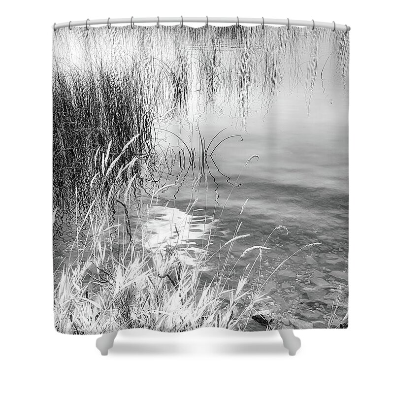 Black And White Photography Shower Curtain featuring the photograph Grasses and Reeds Black and White by Allan Van Gasbeck
