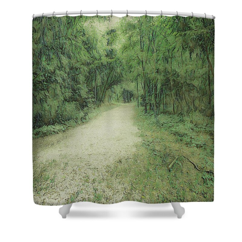 Forest Shower Curtain featuring the digital art Gravel Road into the Forest by Bentley Davis