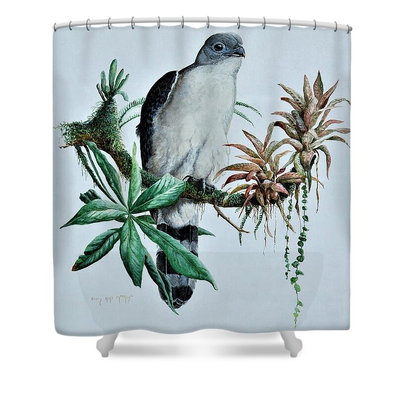 Gray-headed Kite Shower Curtain featuring the painting Gray-headed Kite by Barry Kent MacKay