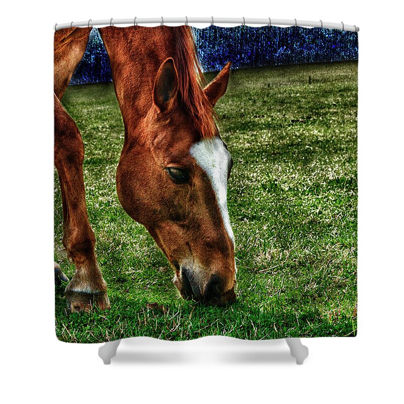 Photo Shower Curtain featuring the mixed media Grazing by Anthony M Davis
