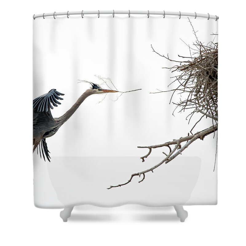 Stillwater Wildlife Refuge Shower Curtain featuring the photograph Great Blue Heron 7 by Rick Mosher